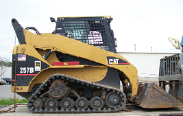 bobcat